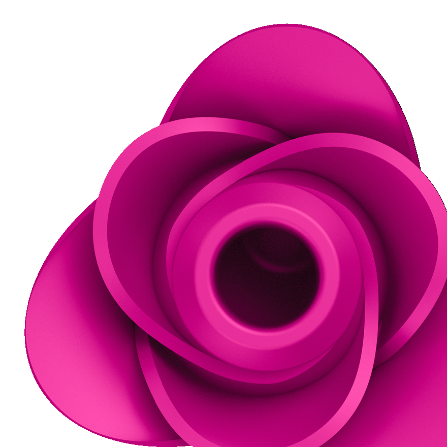 Pro 2 Modern Blossom – Rechargeable, Discreet, Intimate Wellness Accessory – Quiet, Rechargeable, Waterproof, Couples & Solo Use, Discreet Intimate Wellness Accessory
