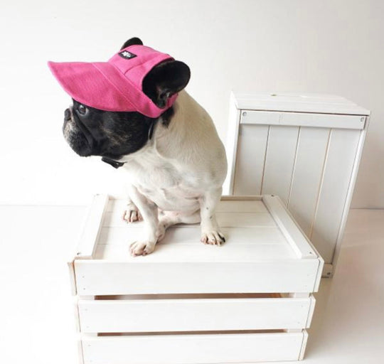 Pets Hat Pink