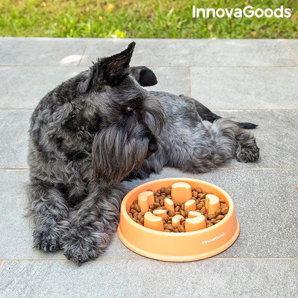 Slow Eating Food Bowl for Pets Slowfi InnovaGoods