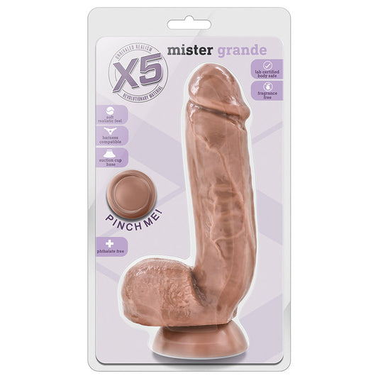 X5 Mister Grande-Latin 8.75.