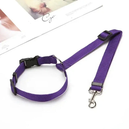 Pawtastic Headrest Safety Belt
