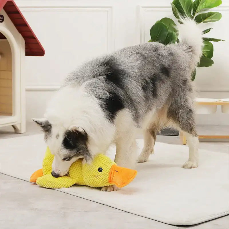 Durable Plush Chew Toy Duck
