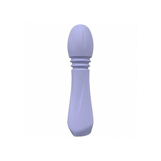 Rapture - 10 Speed Vibe - Lavender – Rechargeable, Discreet, Intimate Wellness Accessory – Quiet, Rechargeable, Waterproof, Couples & Solo Use, Discreet Intimate Wellness Accessory