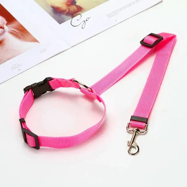 Pawtastic Headrest Safety Belt