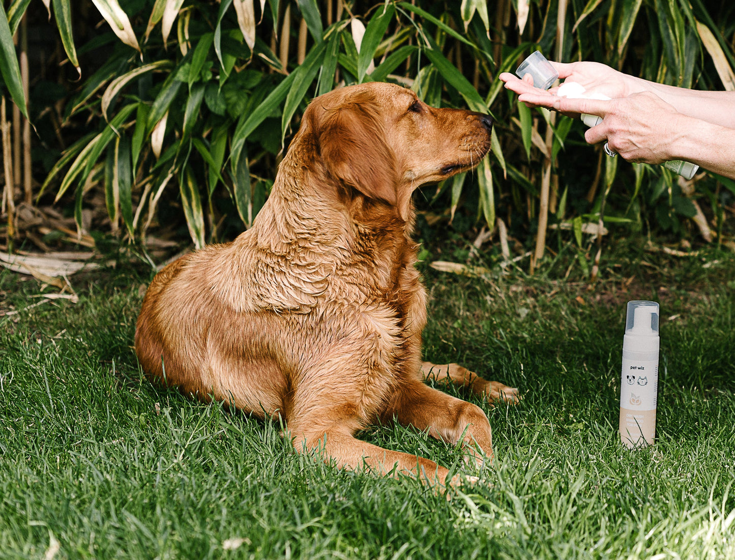 Dry Wash Shampoo for Pets – Soothing & Deodorising