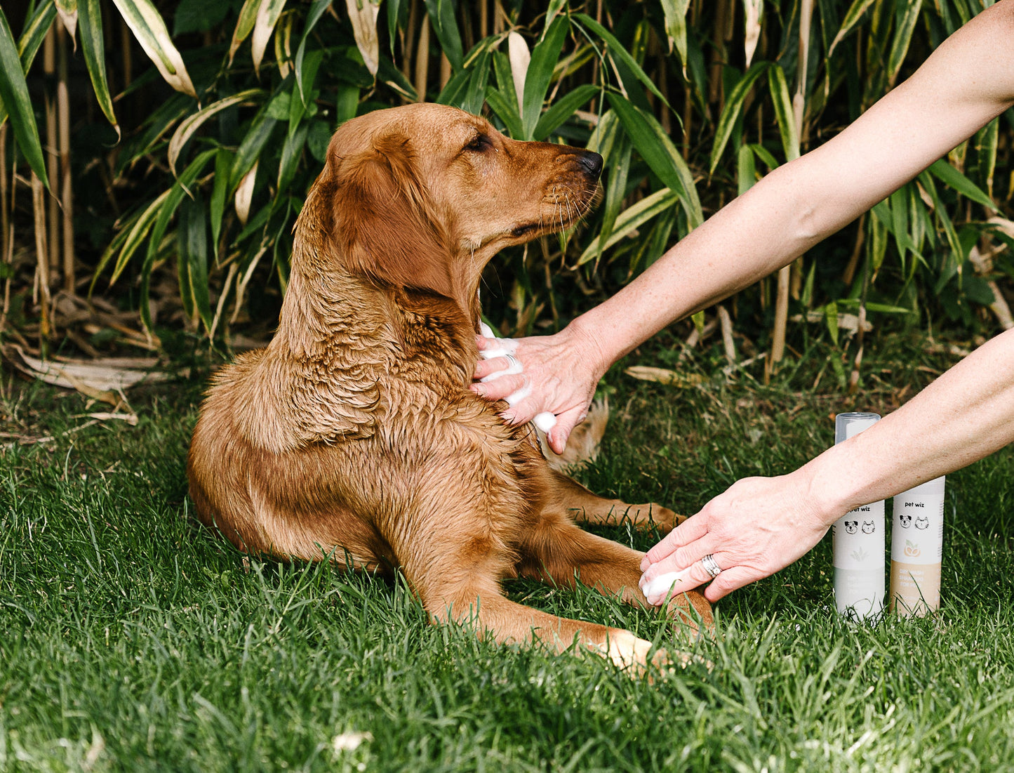 Dry Wash Shampoo for Pets – Soothing & Deodorising