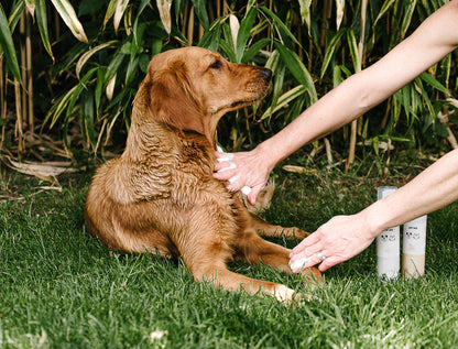 Dry Wash Shampoo for Pets – Soothing & Deodorising