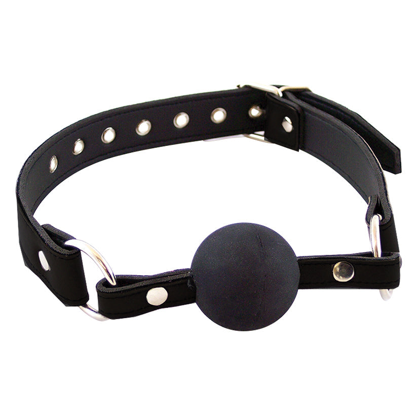 Rouge Group Leather Ball Gag.