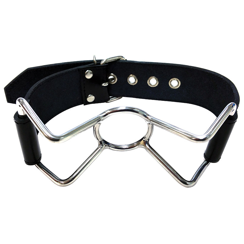 Rouge Group Leather Spider Gag.