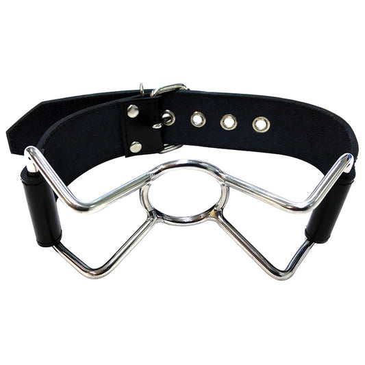 Rouge Group Leather Spider Gag.