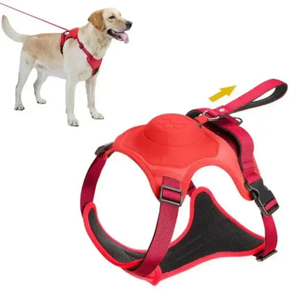 AllinOne Dog Harness Leash Set