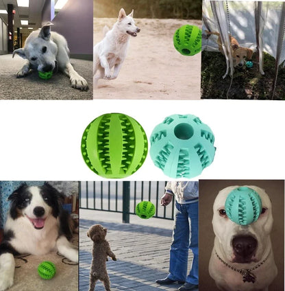 Dog Food Ball – Interactive Rubber Chew novelty item for Teeth Cleaning – Rechargeable, Discreet, Intimate Wellness Accessory – Quiet, Rechargeable, Waterproof, Couples & Solo Use, Discreet Intimate Wellness Accessory
