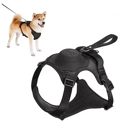 AllinOne Dog Harness Leash Set