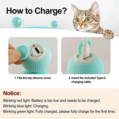 Interactive Cat novelty item Car with Remote Control – Rechargeable, Discreet, Intimate Wellness Accessory – Quiet, Rechargeable, Waterproof, Couples & Solo Use, Discreet Intimate Wellness Accessory