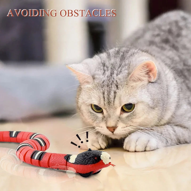 Interactive Cat novelty item Car with Remote Control – Rechargeable, Discreet, Intimate Wellness Accessory – Quiet, Rechargeable, Waterproof, Couples & Solo Use, Discreet Intimate Wellness Accessory