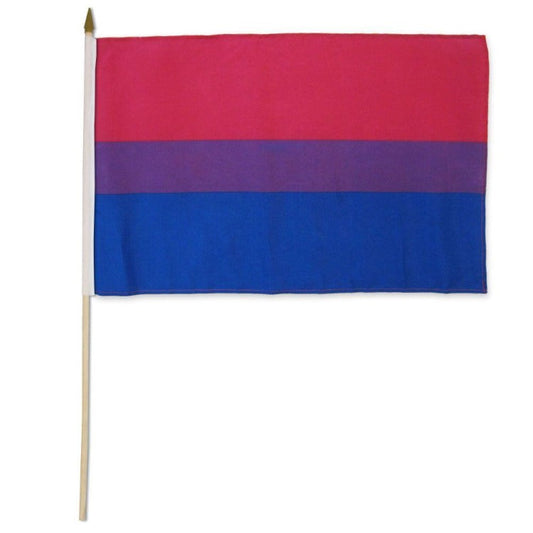 Bisexual 12" x 18" Stick Flag – Rechargeable, Discreet, Intimate Wellness Accessory – Quiet, Rechargeable, Waterproof, Couples & Solo Use, Discreet Intimate Wellness Accessory