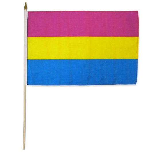 Pansexual 12" x 18" Flag – Rechargeable, Discreet, Intimate Wellness Accessory – Quiet, Rechargeable, Waterproof, Couples & Solo Use, Discreet Intimate Wellness Accessory