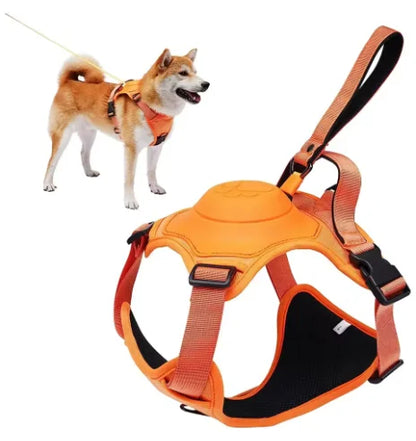 AllinOne Dog Harness Leash Set