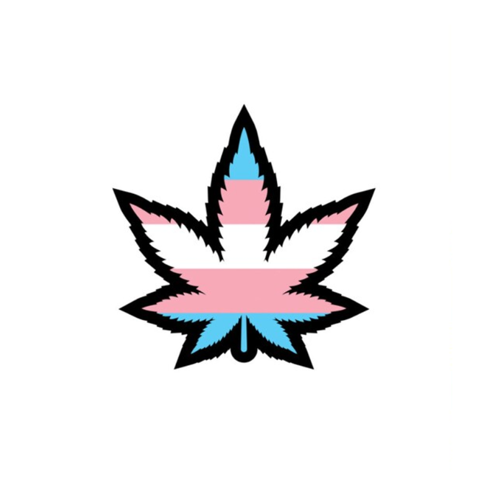 Enamel Pin: Trans Weed Leaf – Rechargeable, Discreet, Intimate Wellness Accessory – Quiet, Rechargeable, Waterproof, Couples & Solo Use, Discreet Intimate Wellness Accessory