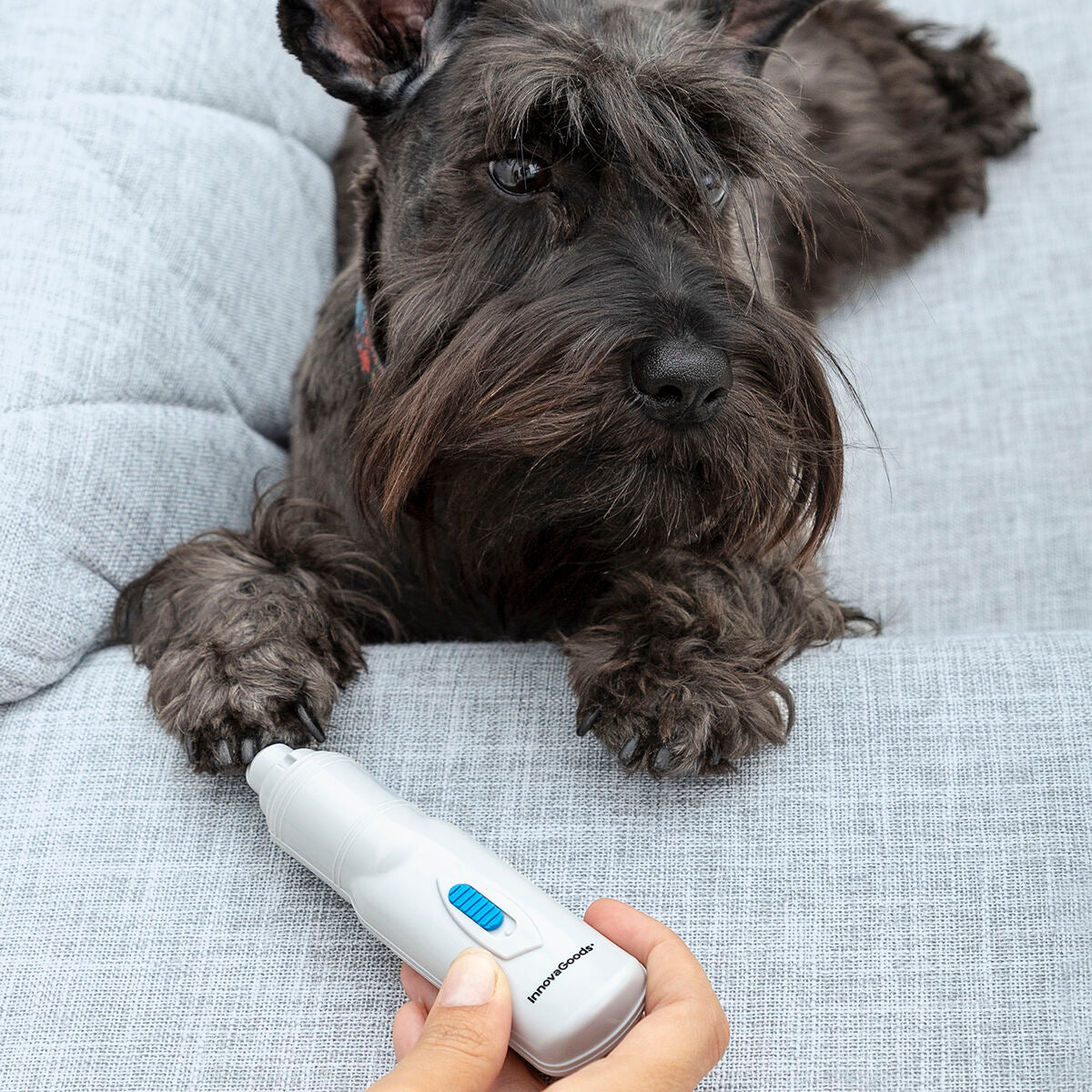 Electric Nail File for Pets PediPet InnovaGoods