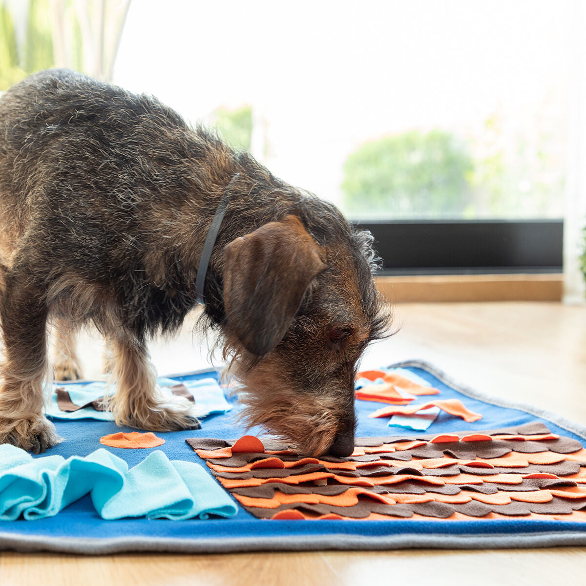 Sniffing Mat for Pets Foopark InnovaGoods