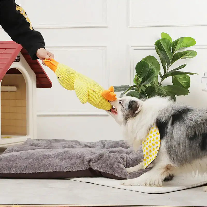 Durable Plush Chew Toy Duck