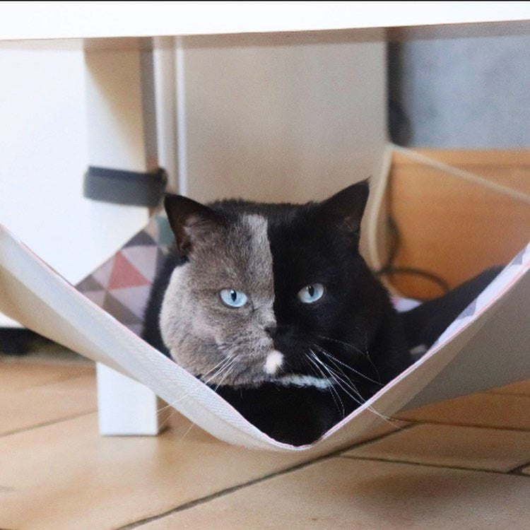 MOUNTAINS Saveplace® hammock for pets & storage