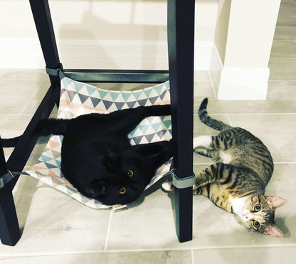 MOUNTAINS Saveplace® hammock for pets & storage