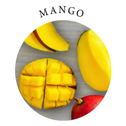 Edible Massage Candle Mango 4 oz / 113 g – Rechargeable, Discreet, Intimate Wellness Accessory – Quiet, Rechargeable, Waterproof, Couples & Solo Use, Discreet Intimate Wellness Accessory