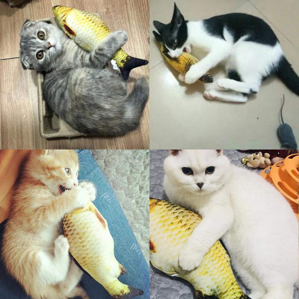 Electric Flipping Fish novelty item for Cats – Rechargeable, Discreet, Intimate Wellness Accessory – Quiet, Rechargeable, Waterproof, Couples & Solo Use, Discreet Intimate Wellness Accessory