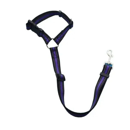 Pawtastic Headrest Safety Belt