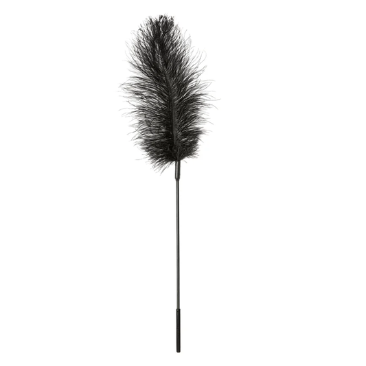 Ostrich Tickler, Black – Rechargeable, Discreet, Intimate Wellness Accessory – Quiet, Rechargeable, Waterproof, Couples & Solo Use, Discreet Intimate Wellness Accessory